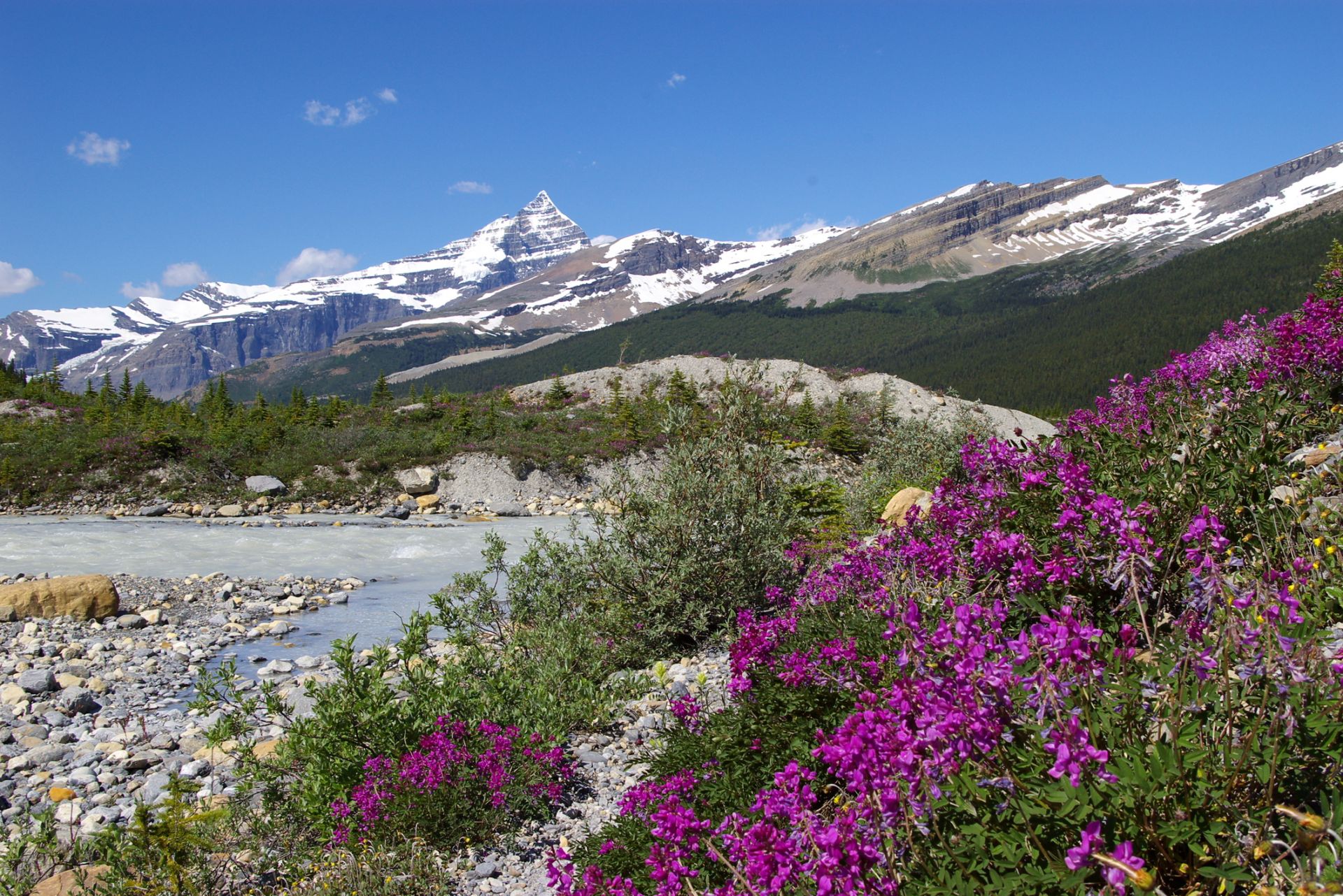 Mount Robson