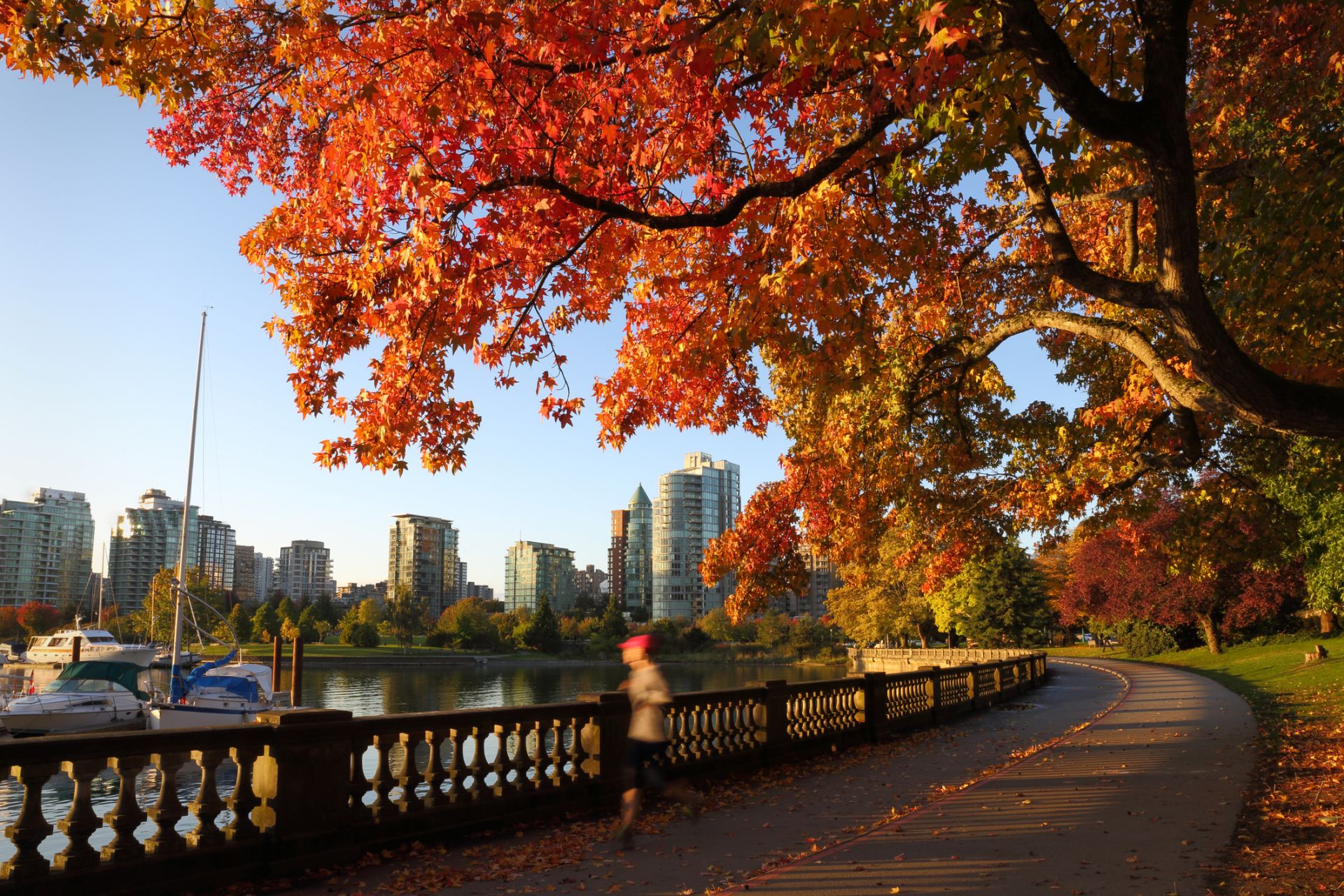 Stanley park ve Vancouveru