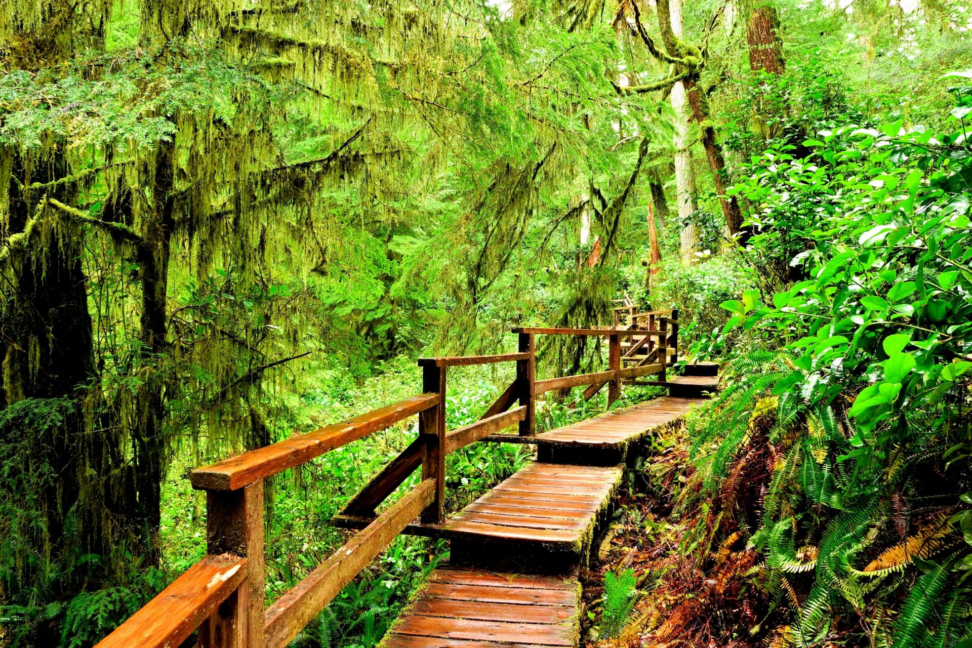 N&aacute;rodn&yacute; park Pacific Rim